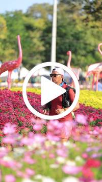 BIB:  <button type="button" onclick="openModal(27583648)" class="btn btn-primary btn-sm float-right" data-toggle="modal" data-target=".modal-high-quality">
                <i class="fa fa-download"></i> Download
                </button>